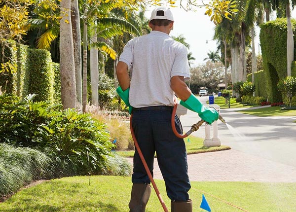 About Hermitage MO Pest Control